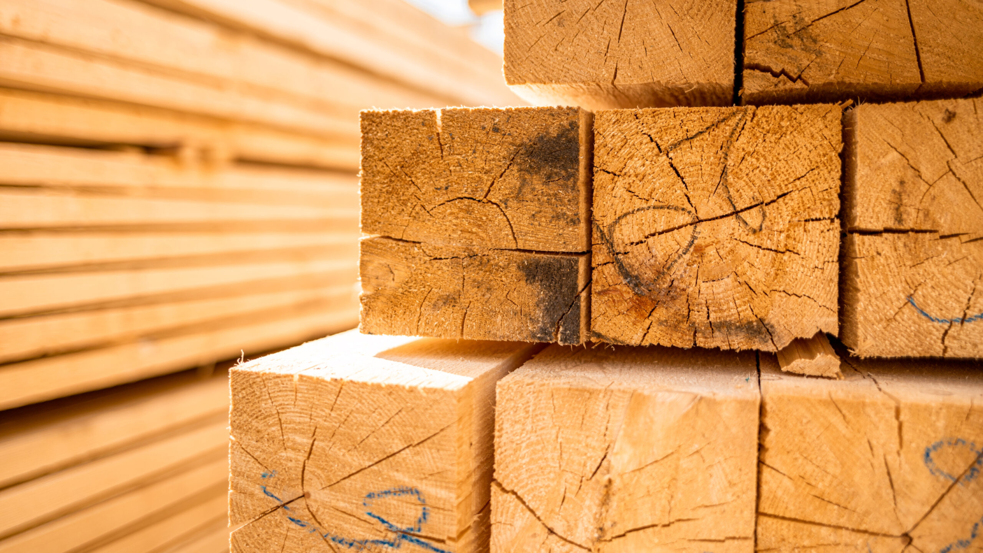 Looking for a reliable lumber yard near you? Discover how Gott Marketing can help you find the perfect lumber yard that meets your needs. Partner with us for all your marketing solutions in the construction industry.